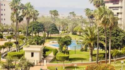 Pis – Elx - Elche - Vista 5