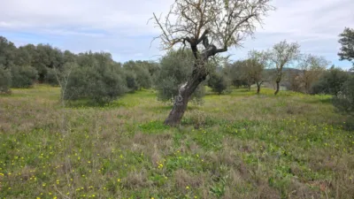 Finca rústica en venta en Artesa de Segre, Artesa de Segre de 85.000 €