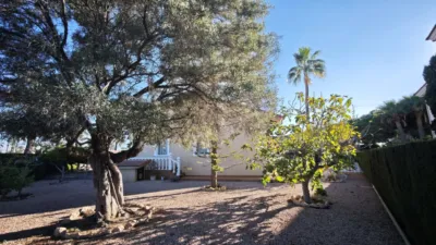 Chalet in Orihuela photo 9