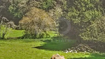 Casa en venta en Cardoso (Llanes) - Vista 5