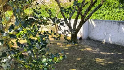 Casa en venta en Parroquias - Vista 6