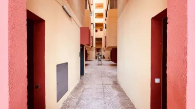 Apartment in Vallpineda-Rocamar photo 17