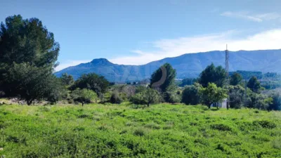 Terreno en venta en Murla - Vista 2