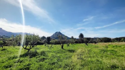 Terreno en venta en Murla - Vista 3