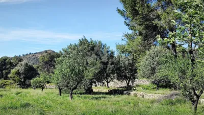 Terreno en venta en Murla - Vista 6
