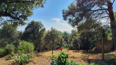 House in Navata photo 31