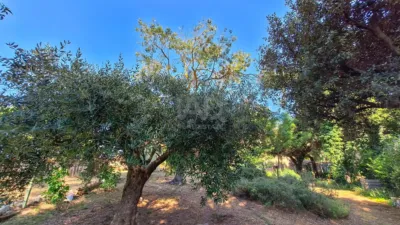House in Navata photo 33