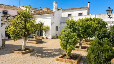 Apartment in Villalba del Alcor photo 19