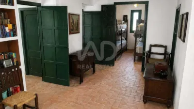 Apartment in Villalba del Alcor photo 28