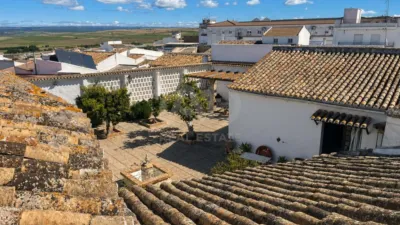 Apartment in Villalba del Alcor photo 34