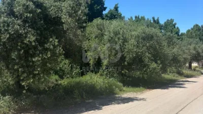 Rustic finca in Calasparra photo 11