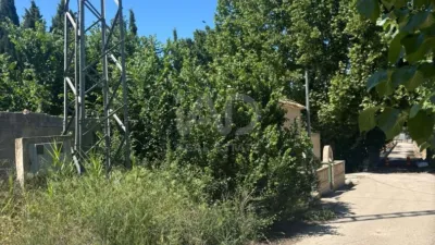 Rustic finca in Calasparra photo 22