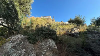 House in Port Esportiu-Canyelles-Puig Rom photo 12