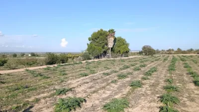 Terreno en venta en Elche - Vista 4