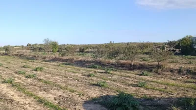 Terreno en venta en Elche - Vista 5