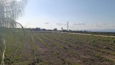 Terreno en venta en Elche - Vista 2