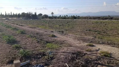 Terreno en venta en Elche - Más