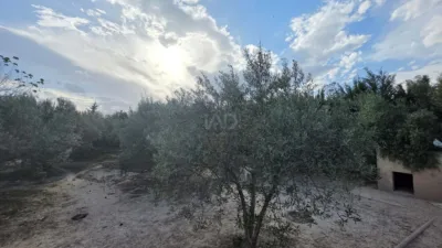 Rustic Finca in Calasparra photo 14