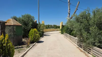 Rustic Finca in Calasparra photo 15