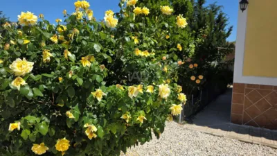 Rustic Finca in Calasparra photo 17