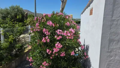 Rustic Finca in Calasparra photo 18