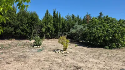 Rustic Finca in Calasparra photo 19