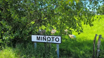 Rustic Finca in Baltar photo 16