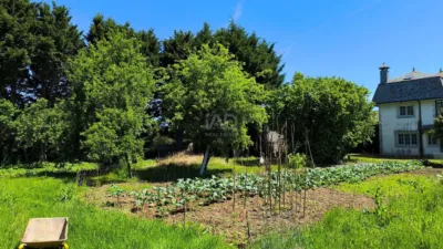 Rustic Finca in Baltar photo 20