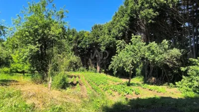 Rustic Finca in Baltar photo 21