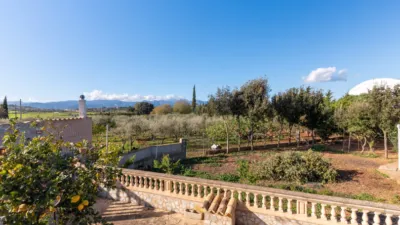 Rustic Finca in Santa Eugènia photo 8