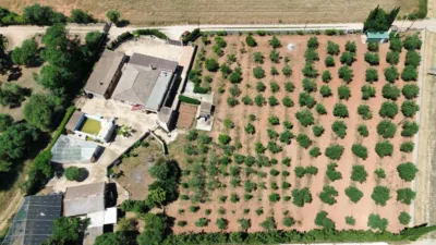 Rustic Finca in Santa Eugènia photo 2