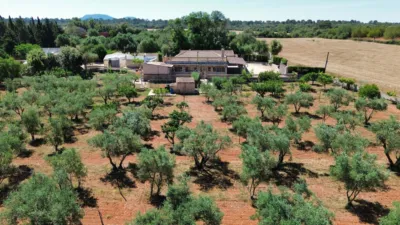 Rustic Finca in Santa Eugènia photo 5