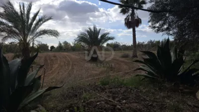 Rustic Finca in Casa del Soldado photo 21