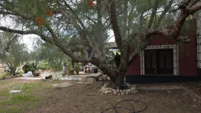 Rustic Finca in Casa del Soldado photo 22
