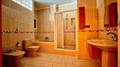 Apartment in Pego photo 9