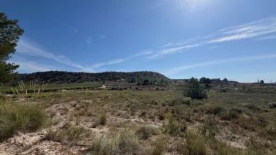 Terreno en venta en Campo, Rural - Vista 4