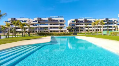 Apartment in Alicante photo 2