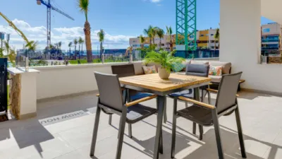 Apartment in Alicante photo 46