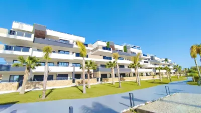 Apartment in Alicante photo 53