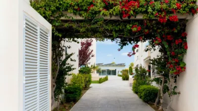 Apartamento en Costa Blanca Sur - Torrevieja - Alicante photo 12