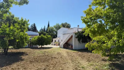 Finca rústica en Centro photo 19