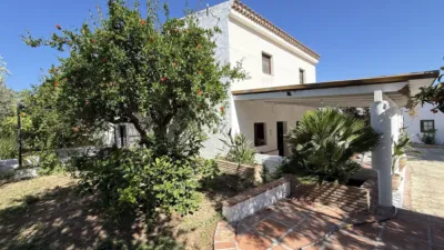 Rustic Finca in Centro photo 4