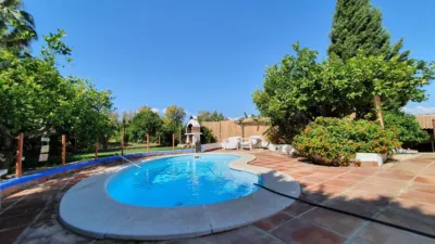 Rustic Finca in Centro photo 3