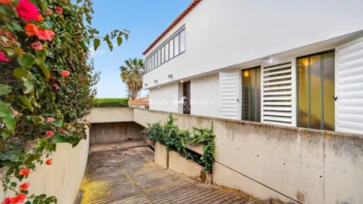 House on Mocan Street, 5 photo 4