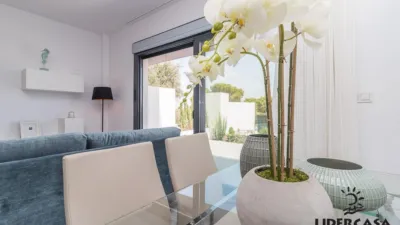Apartment in Los Balcones-Los Altos-Punta Prima photo 24