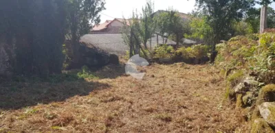 House in Vilar de Astres photo 14