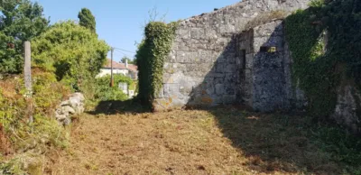 House in Vilar de Astres photo 16