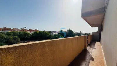 House in Playa Flamenca photo 11