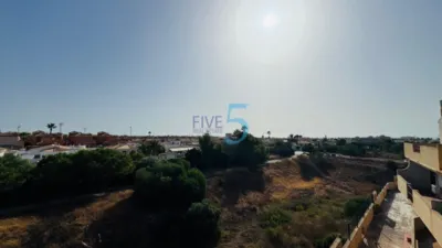 House in Playa Flamenca photo 22