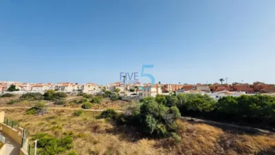 House in Playa Flamenca photo 23